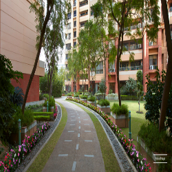 Sweta Real Estate - 250x250